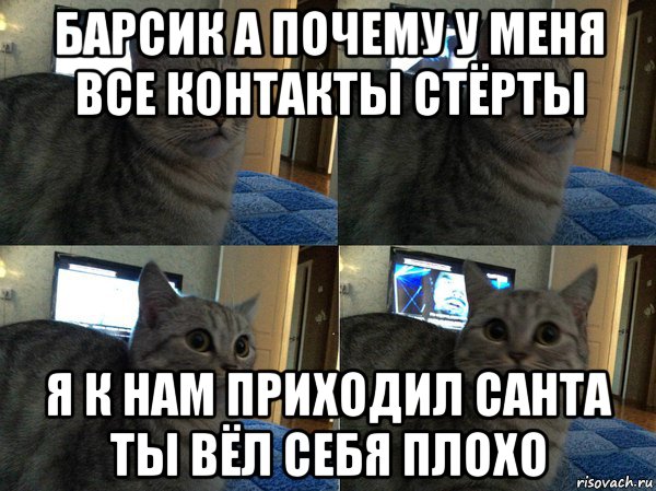 барсик а почему у меня все контакты стёрты я к нам приходил санта ты вёл себя плохо, Мем  Кот в шоке