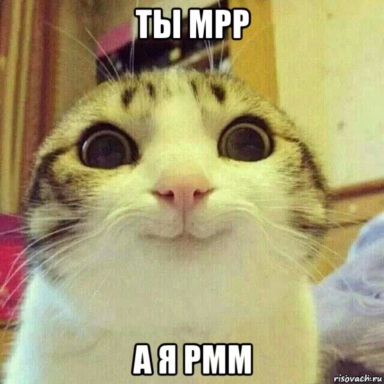 ты mpp а я pmm, Мем       Котяка-улыбака