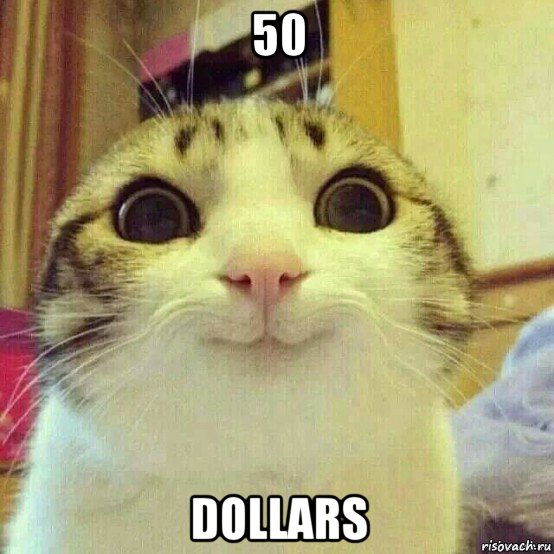50 dollars, Мем       Котяка-улыбака