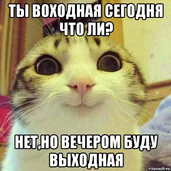 ты воходная сегодня что ли? нет,но вечером буду выходная, Мем       Котяка-улыбака