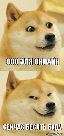 ООО Эля онлайн Сейчас бесить буду, Комикс   DOGE довольный