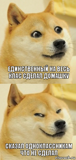 единственный на весь клас сделал домашку сказал одноклассникам что не сделал, Комикс   DOGE довольный