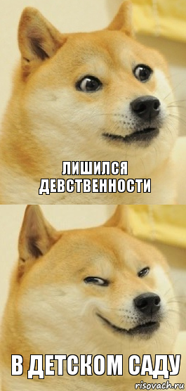 лишился девственности в детском саду, Комикс   DOGE довольный