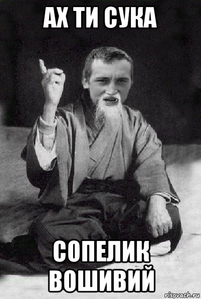 ах ти сука сопелик вошивий, Мем Мудрий паца