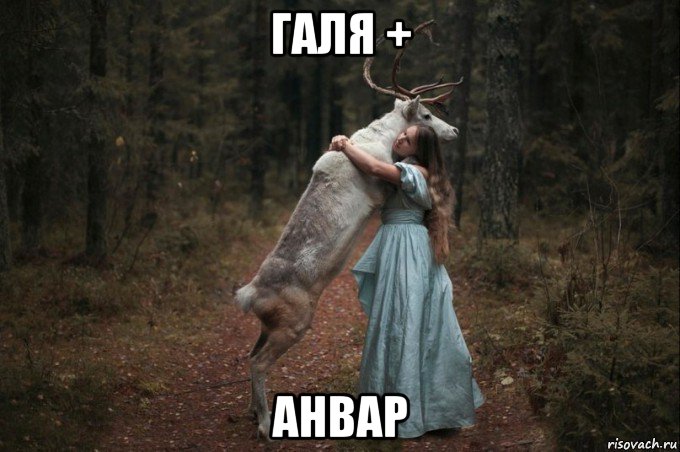 галя + анвар