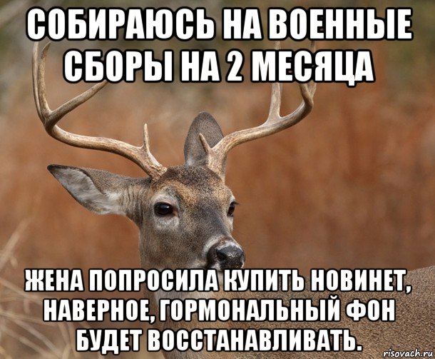 собираюсь на военные сборы на 2 месяца жена попросила купить новинет, наверное, гормональный фон будет восстанавливать., Мем  Наивный Олень v2