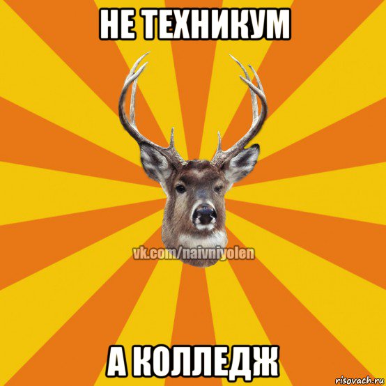 не техникум а колледж