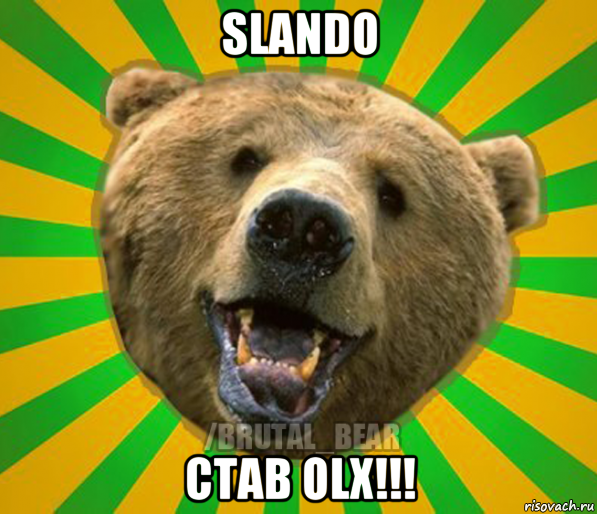 slando став olx!!!, Мем Нелепый медведь