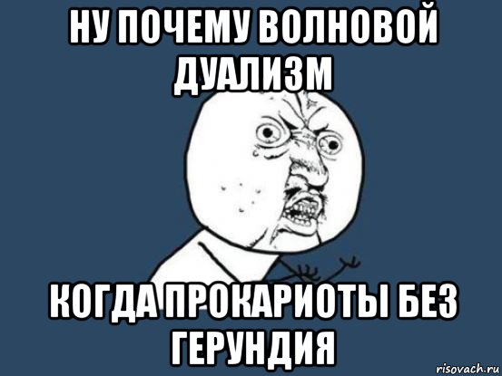 ну почему волновой дуализм когда прокариоты без герундия, Мем Ну почему