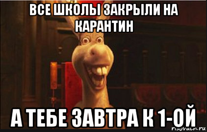 все школы закрыли на карантин а тебе завтра к 1-ой, Мем Осел из Шрека