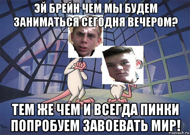 Давай займемся сегодня. Чем будешь заниматься сегодня. Чем мы займемся сегодня Брейн. Чем мы будем заниматься сегодня. Пинки и Брейн Мем.