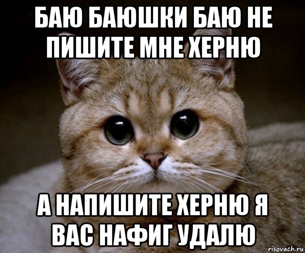 баю баюшки баю не пишите мне херню а напишите херню я вас нафиг удалю, Мем Пидрила Ебаная