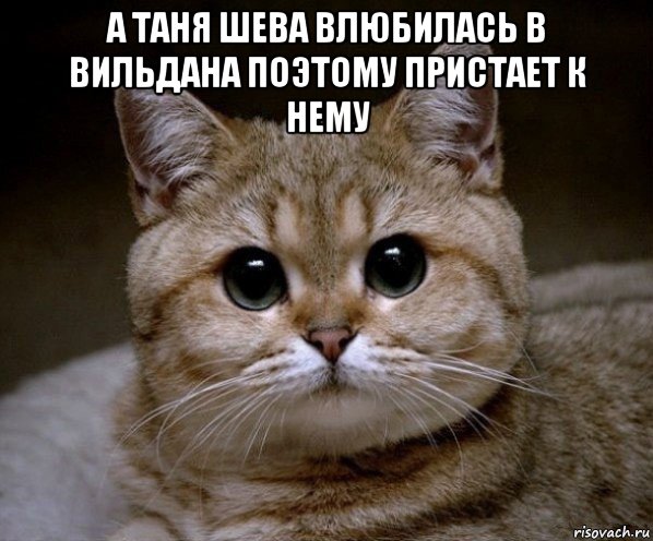 а таня шева влюбилась в вильдана поэтому пристает к нему , Мем Пидрила Ебаная