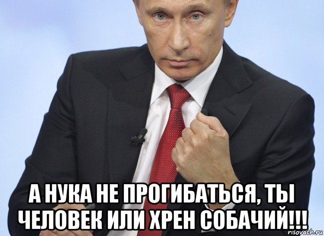  а нука не прогибаться, ты человек или хрен собачий!!!, Мем Путин показывает кулак