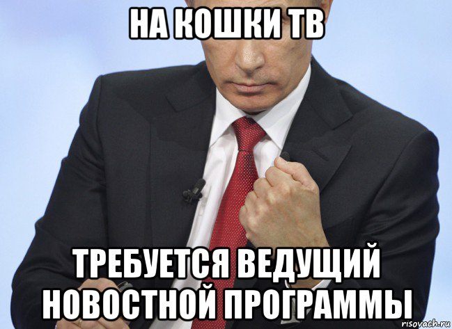 на кошки тв требуется ведущий новостной программы, Мем Путин показывает кулак
