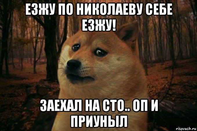 езжу по николаеву себе езжу! заехал на сто.. оп и приуныл, Мем SAD DOGE