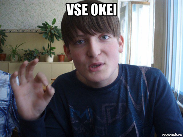 vse okei 