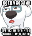 когда хозяин орет из-за того, что я нассал ему в тапки, Мем  Стикер вк