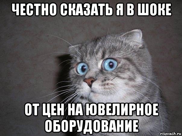 честно сказать я в шоке от цен на ювелирное оборудование, Мем  удивлённый кот