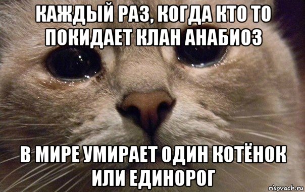 каждый раз, когда кто то покидает клан анабиоз в мире умирает один котёнок или единорог, Мем   В мире грустит один котик