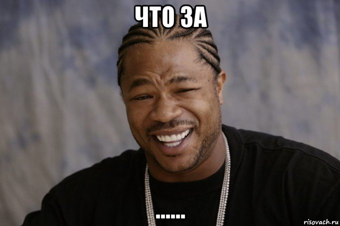 что за ......, Мем Xzibit