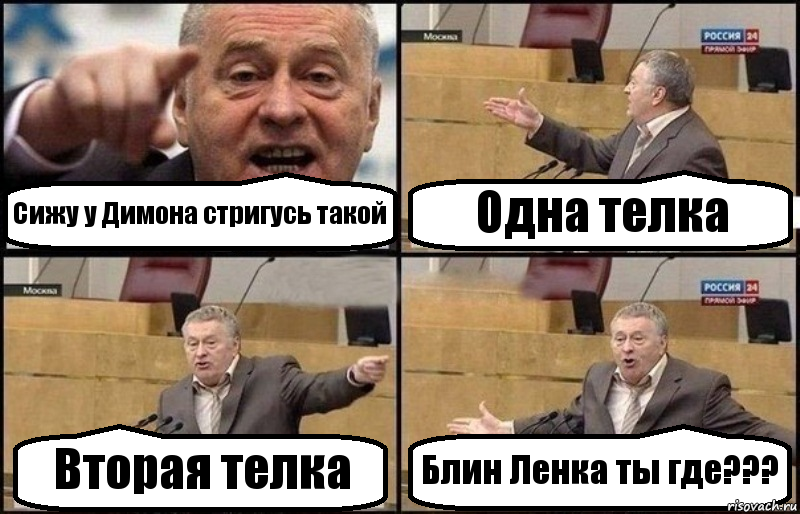 Сижу у Димона стригусь такой Одна телка Вторая телка Блин Ленка ты где???, Комикс Жириновский