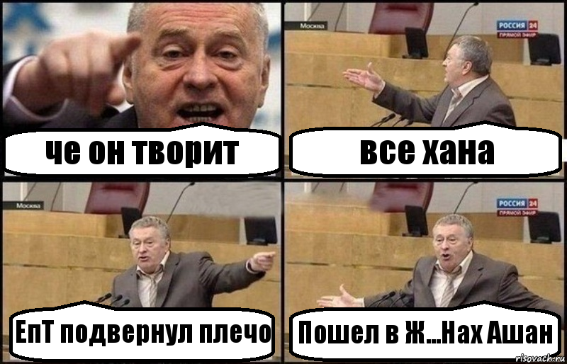 че он творит все хана ЕпТ подвернул плечо Пошел в Ж...Нах Ашан, Комикс Жириновский