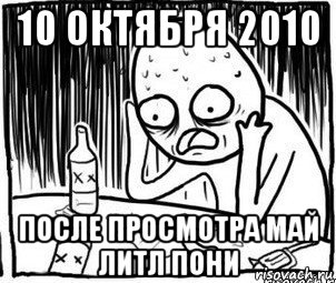 10 октября 2010 после просмотра май литл пони, Мем Алкоголик-кадр