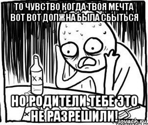 то чувство когда твоя мечта вот вот должна была сбыться но родители тебе это не разрешили!, Мем Алкоголик-кадр