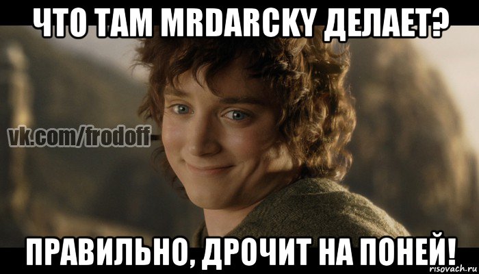 что там mrdarcky делает? правильно, дрочит на поней!, Мем  Фродо