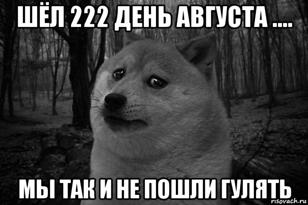 шёл 222 день августа .... мы так и не пошли гулять, Мем    Грусть-пичаль