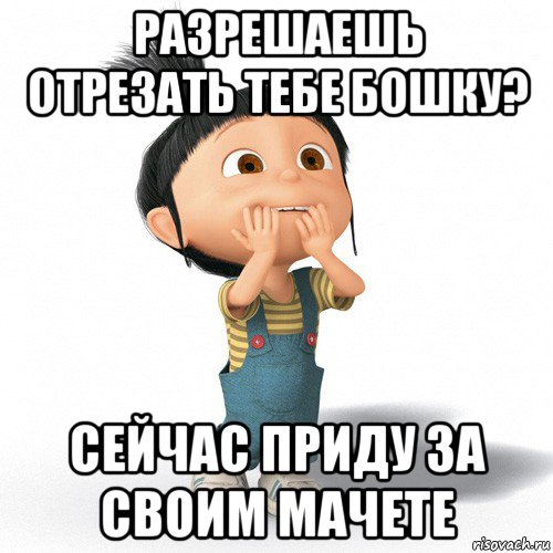 разрешаешь отрезать тебе бошку? сейчас приду за своим мачете, Мем Радостная Агнес