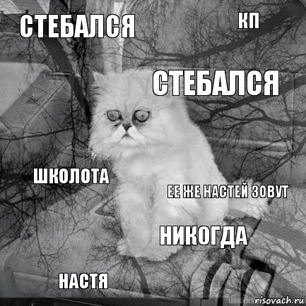 стебался Ее же Настей зовут стебался Настя школота Кп никогда   , Комикс  кот безысходность