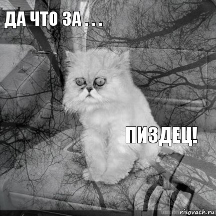 Да что за . . . Пиздец!        , Комикс  кот безысходность