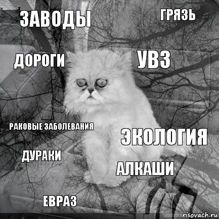 ЗАВОДЫ ЭКОЛОГИЯ УВЗ ЕВРАЗ РАКОВЫЕ ЗАБОЛЕВАНИЯ ГРЯЗЬ АЛКАШИ ДОРОГИ ДУРАКИ , Комикс  кот безысходность