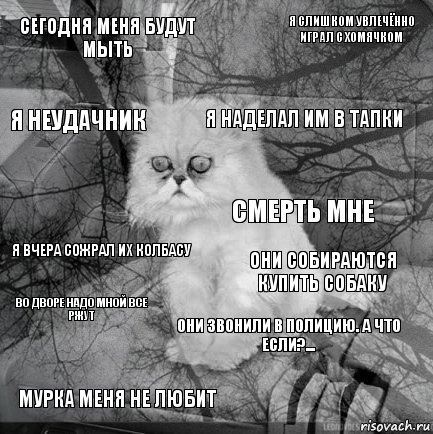 Сегодня меня будут мыть Они собираются купить собаку Я наделал им в тапки Мурка меня не любит Я вчера сожрал их колбасу Я слишком увлечённо играл с хомячком Они звонили в полицию. А что если?... Я неудачник Во дворе надо мной все ржут Смерть мне, Комикс  кот безысходность