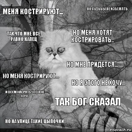 меня кострируют... но я этого не хочу... но меня хотят кострировать.. но на улице такие цыпочки... но меня кострируют... но судьбы не избежать так бог сказал так что мне все равно капец и всем насрать что я не хочу но мне придется..., Комикс  кот безысходность