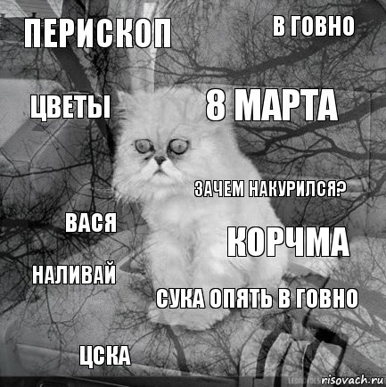 Перископ Корчма 8 марта Цска Вася В говно Сука опять в говно Цветы Наливай Зачем накурился?, Комикс  кот безысходность