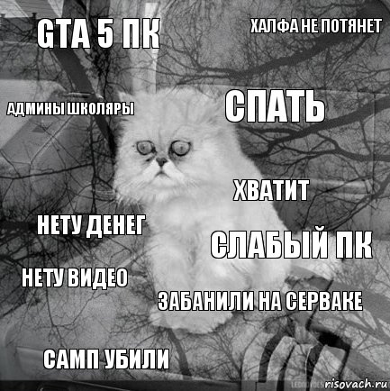 GTA 5 пк Слабый пк Спать САМП УБИЛИ Нету денег Халфа не потянет ЗАБАНИЛИ НА СЕРВАКЕ Админы школяры Нету видео Хватит, Комикс  кот безысходность