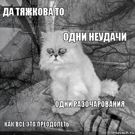 да тяжкова то  одни неудачи как все это преодолеть   Одни разочарования   , Комикс  кот безысходность