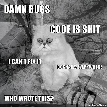 DAMN BUGS DOGNAILS EVERYWHERE CODE IS SHIT WHO WROTE THIS? I CAN'T FIX IT     , Комикс  кот безысходность