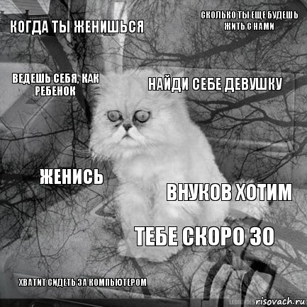 когда ты женишься внуков хотим найди себе девушку хватит сидеть за компьютером женись сколько ты еще будешь жить с нами тебе скоро 30 ведешь себя, как ребенок  , Комикс  кот безысходность