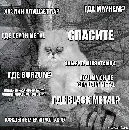 Хозяин слушает Rap Почему он не слушает Metal Спасите Каждый вечер играет АК-47 Где Burzum? Где Mayhem? Где Black Metal? Где Death Metal Ненавижу хозяина за то что слушает своего ссаного Гуфа Заберите меня отсюда, Комикс  кот безысходность