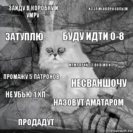 Зайду в коробку и умру Несваншочу Буду идти 0-8 Продадут Промажу 5 патронов Из за меня про сольем Назовут аматаром Затуплю Не убью 1 хп Мама прийдет во вемя игры, Комикс  кот безысходность