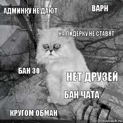 админку не дают нет друзей на лидерку не ставят кругом обман бан 30 варн бан чата   , Комикс  кот безысходность