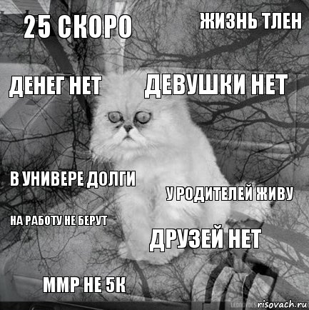 25 скоро у родителей живу девушки нет ммр не 5к в универе долги жизнь тлен друзей нет денег нет на работу не берут , Комикс  кот безысходность