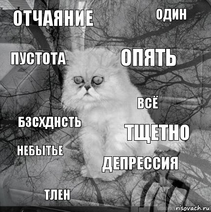 отчаяние тщетно опять тлен бзсхднсть один депрессия пустота небытье всё, Комикс  кот безысходность