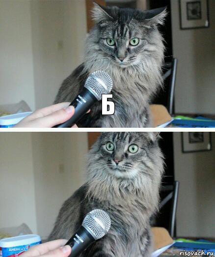 Б , Комикс  кот с микрофоном