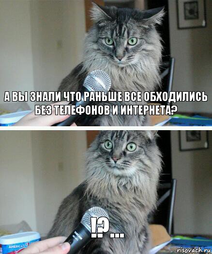 а вы знали что раньше все обходились без телефонов и интернета? !?..., Комикс  кот с микрофоном