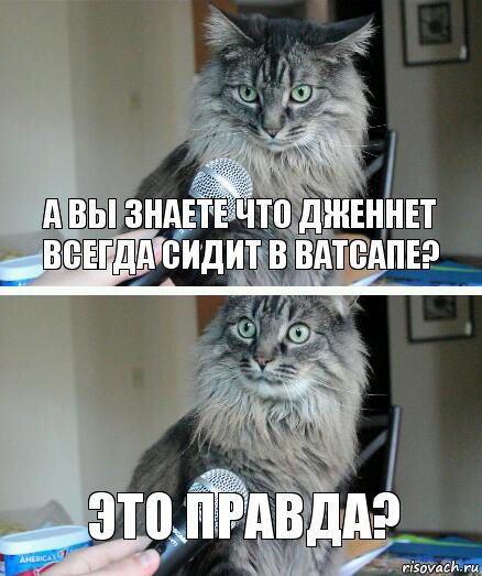 А вы знаете что дженнет всегда сидит в ватсапе? Это правда?, Комикс  кот с микрофоном